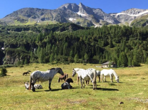 Gasthaus Maislau, Rauris, Österreich, Rauris, Österreich